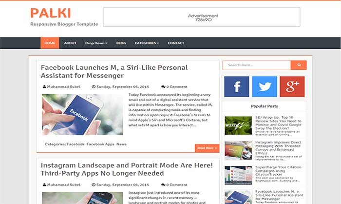 Palki Blogger Template