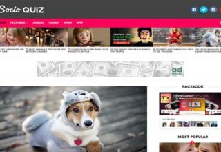 Socio Viral Blogger Template