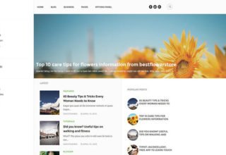 revelio blogger template